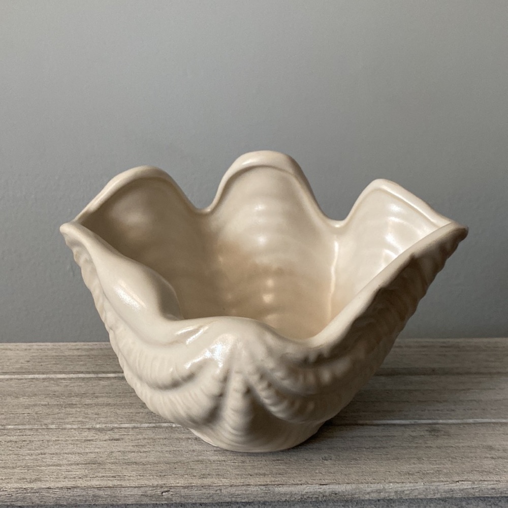 NWOT- Seashell